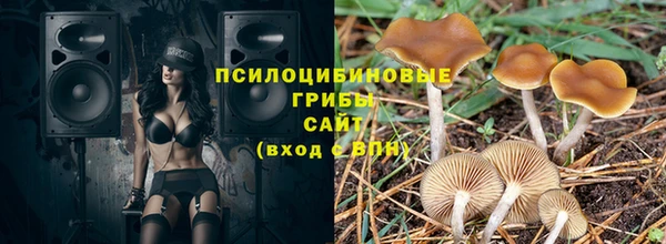 МДПВ Осинники