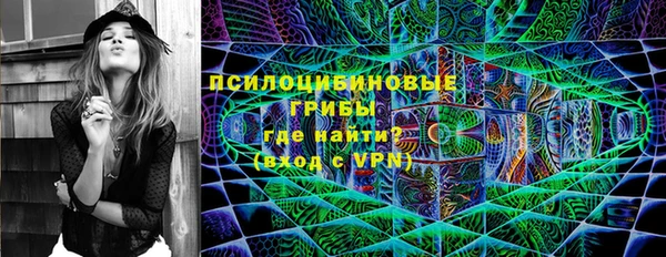 кокс Баксан