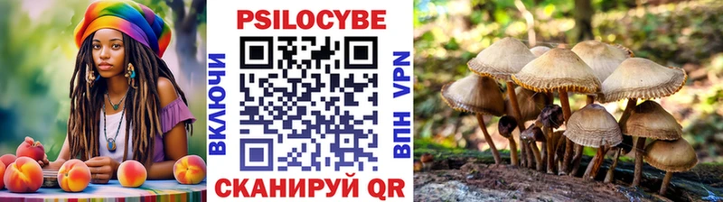 сколько стоит  darknet наркотические препараты  Галлюциногенные грибы Psilocybe  Чусовой 